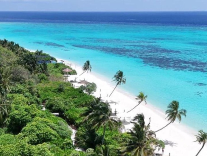 White sand beach and turquoise lagoon on Thoddoo Island, Maldives